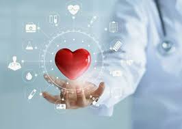 Como Comprar Bimat Guia Completo para Usuários Como Comprar Bimat Guia Completo para Usuários