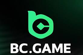 The Rise of BC.Game Revolutionizing Online Crypto Gambling