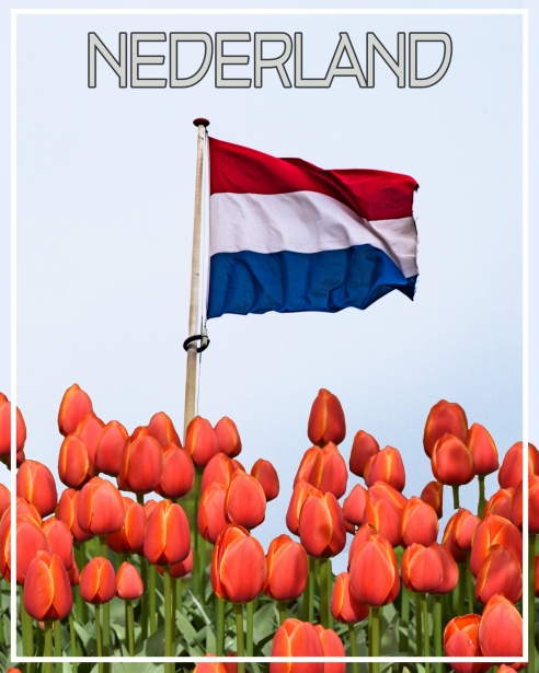 Zomerfestivals in Friesland Een Zomer van Muziek en Cultuur Zomerfestivals in Friesland Een Zomer van Muziek en Cultuur