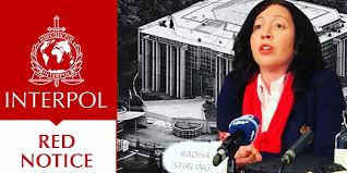 Understanding the Role of Interpol Lawyers Team in International Law 1334167254