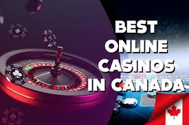 Best Live Casino Online Your Ultimate Guide to a Thrilling Experience